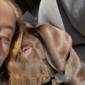 Meet your Posher, Ava